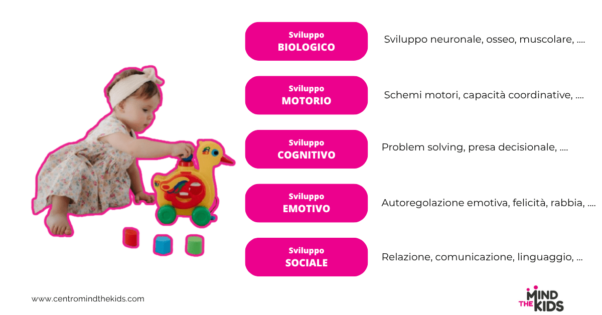 In questa immagine si elencano le principali aree di impatto del gioco
